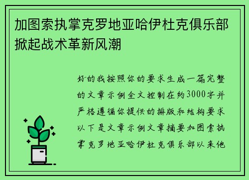 加图索执掌克罗地亚哈伊杜克俱乐部掀起战术革新风潮 加图索执掌克罗地亚哈伊杜克俱乐部掀起战术革新风潮